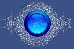 技术支持与IT咨询